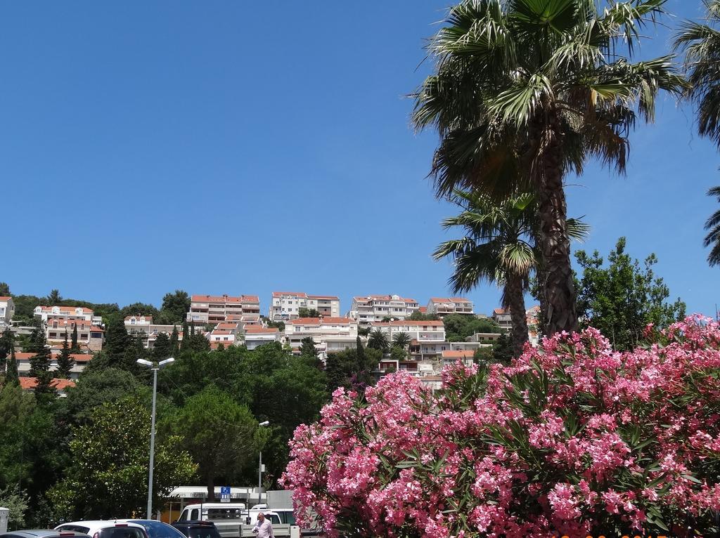 Apartments Roko Dubrovnik Extérieur photo